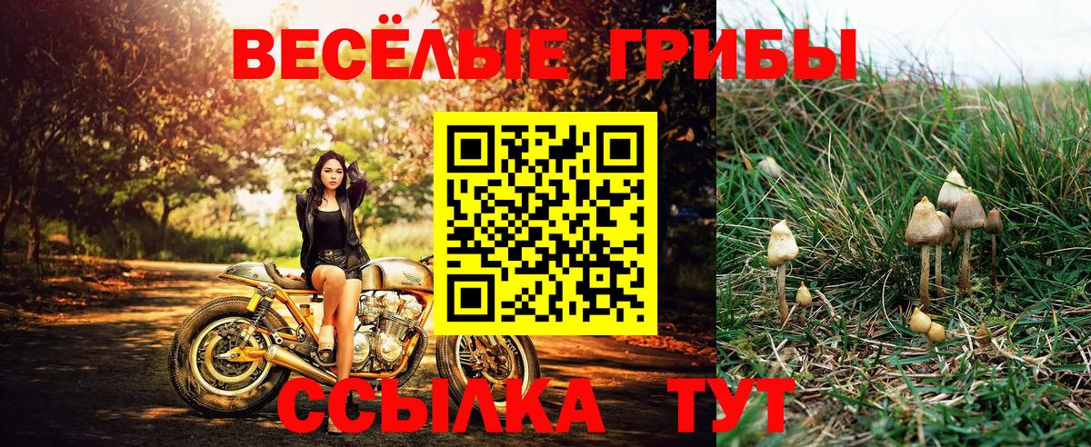 Галлюциногенные грибы ЛСД Искитим