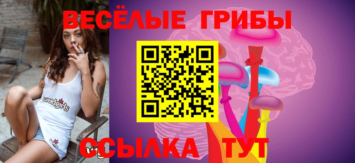 Искитим  Галлюциногенные грибы MAGIC MUSHROOMS  Вход с VPN 